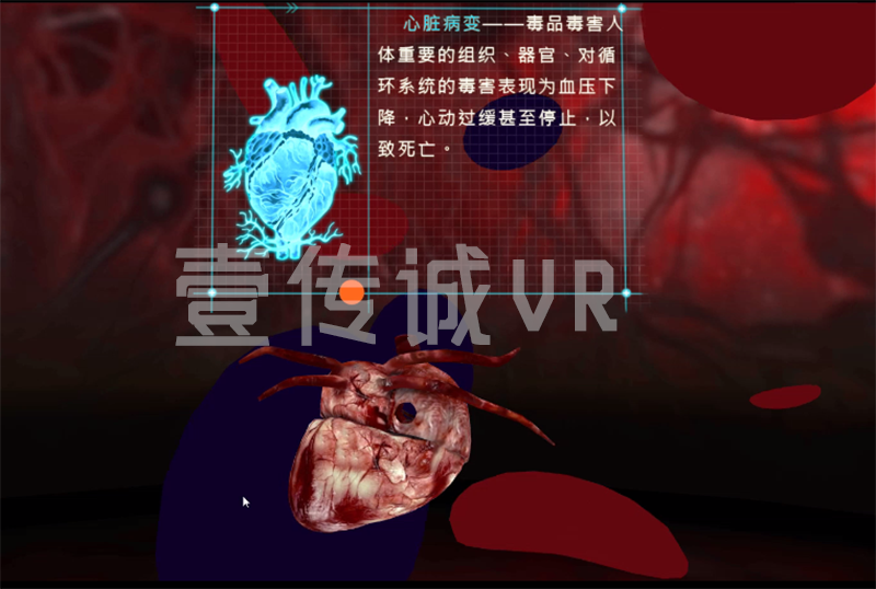 VR禁毒教育 (3)